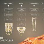 sistema-osteo-articular-mujer