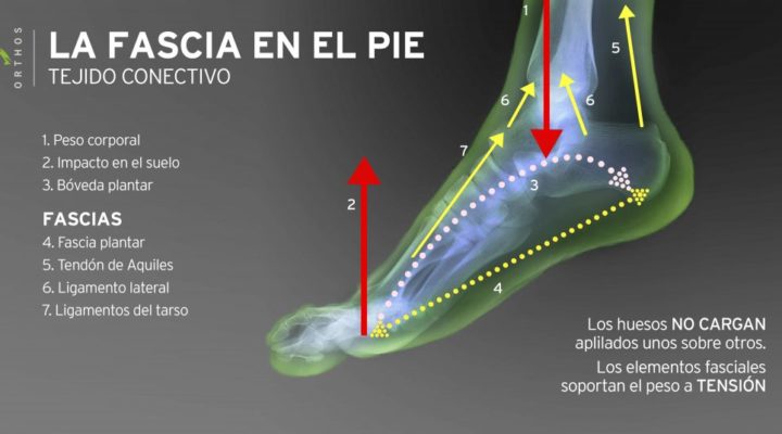 fascia-del-pie