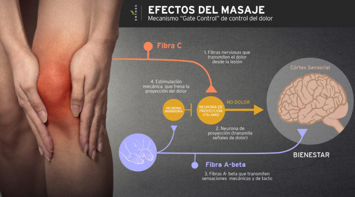 efectos-del-masaje