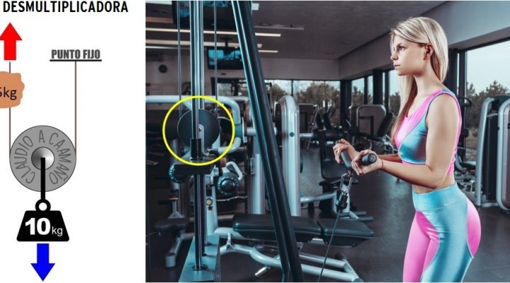 polea-desmultiplicadora-musculacion