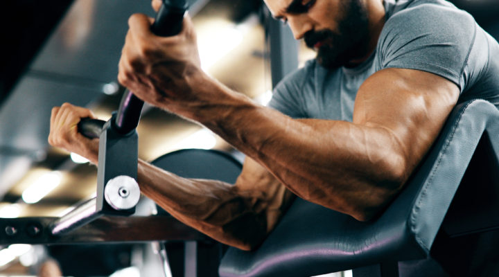 muscular-entrenamiento